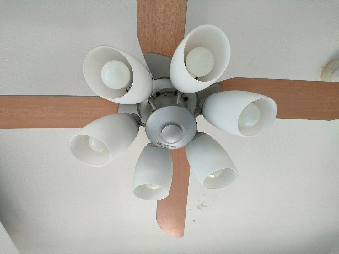 オーデリック　シーリングファン　ライト　wf801+wf805