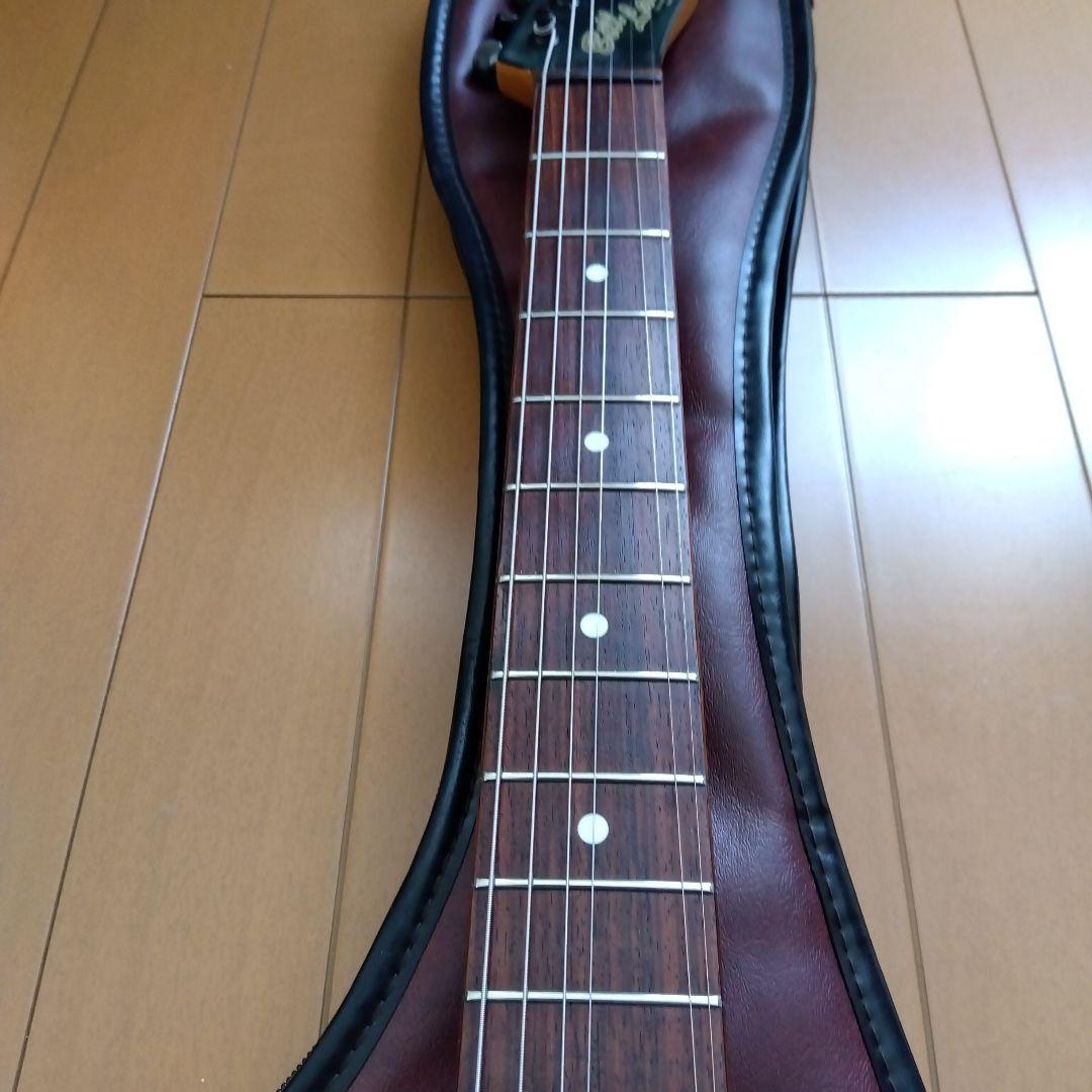 ビルローレンス　BT0R-55B　テレキャスター　日本製　ブラックラベル　シャケ