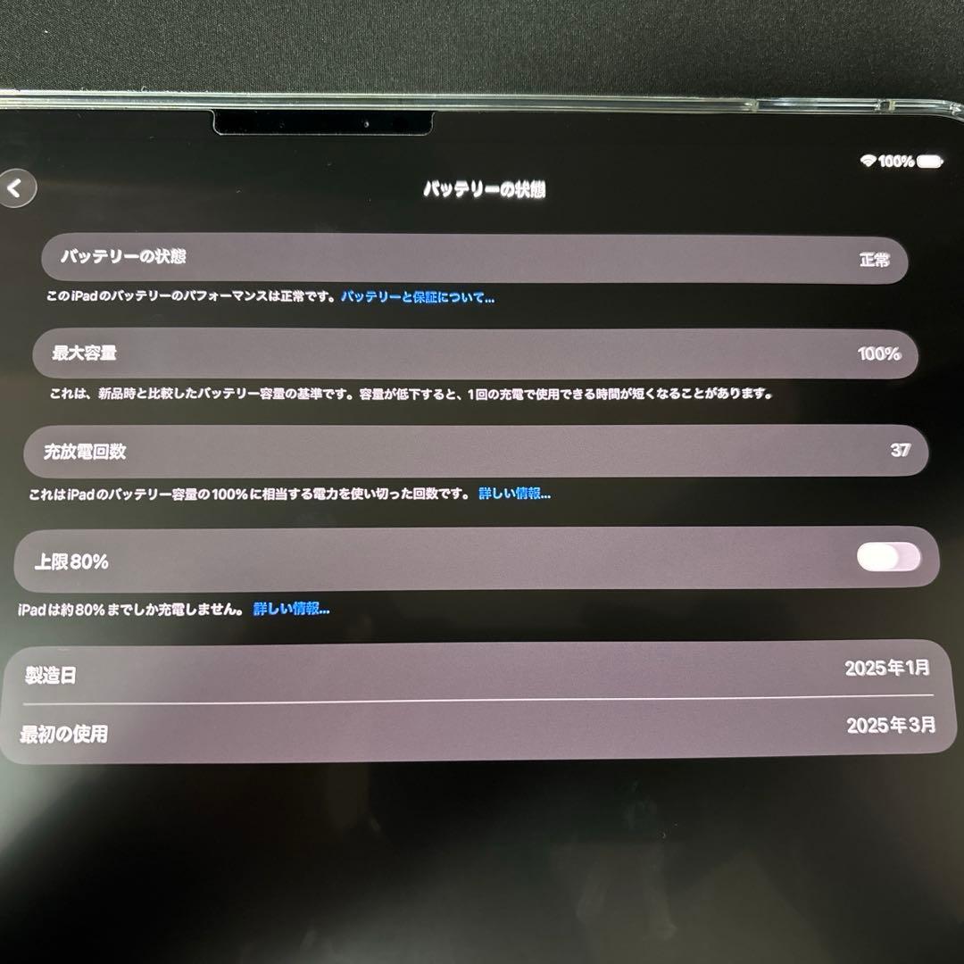 iPad Pro13インチ M4 1TB WIFIシルバー 本体のみ