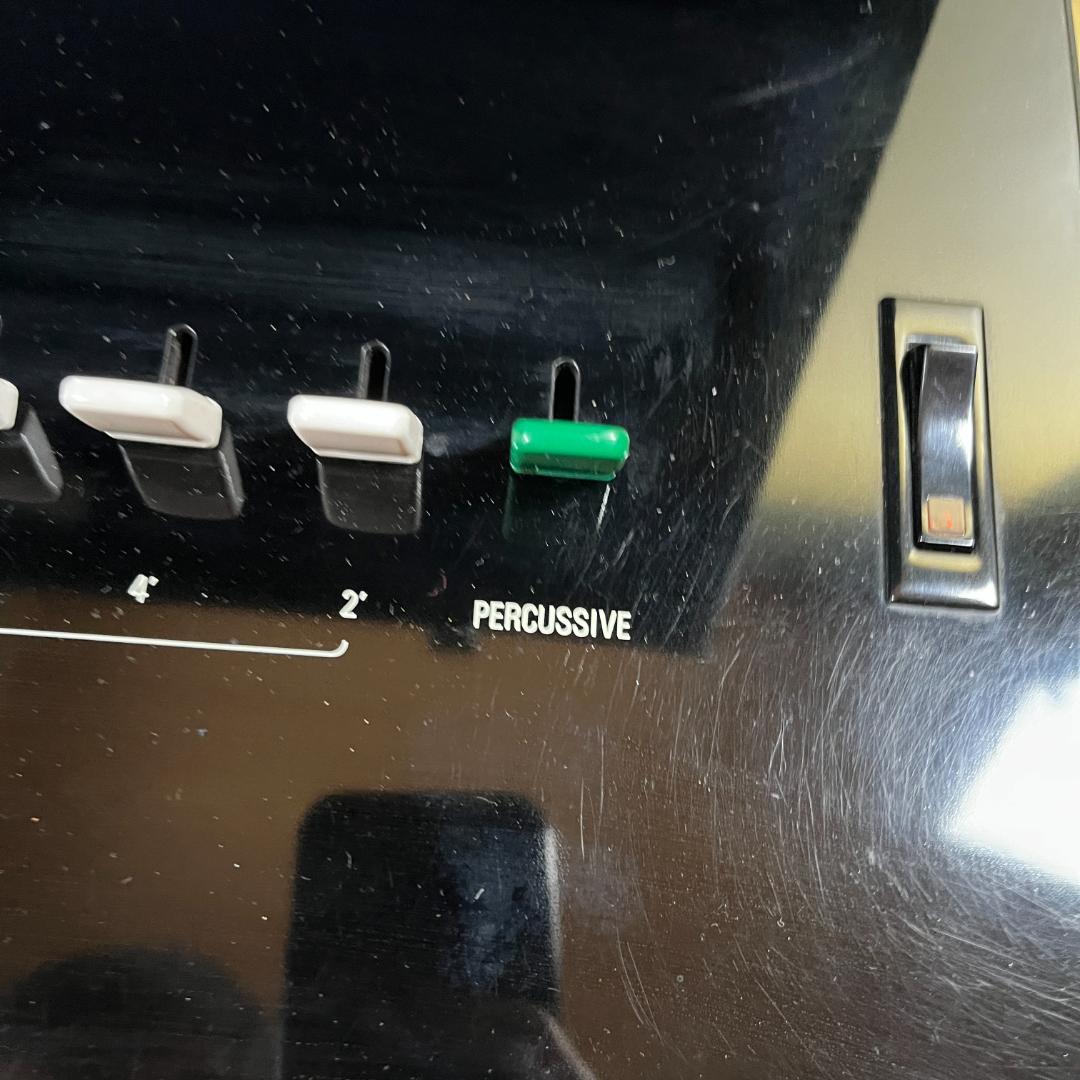 YAMAHA YC-20 ヴィンテージ オルガン 希少 ハードケース付属