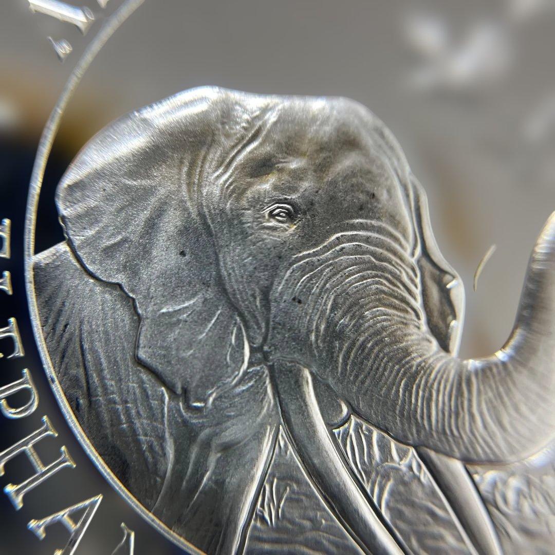【純銀】ソマリア共和国　2018年　エレファント銀貨100シリング　1オンス②