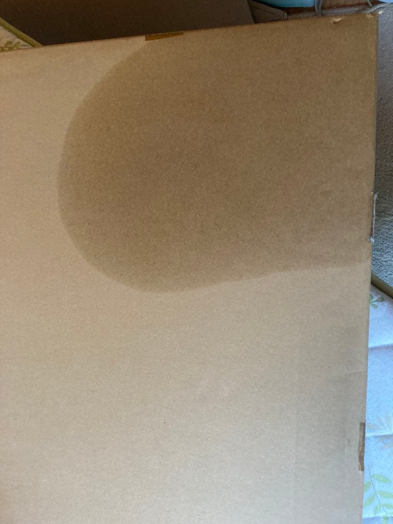 Tony 版画　妖精王国の優雅な一時　アールジュネス　＊送料込み