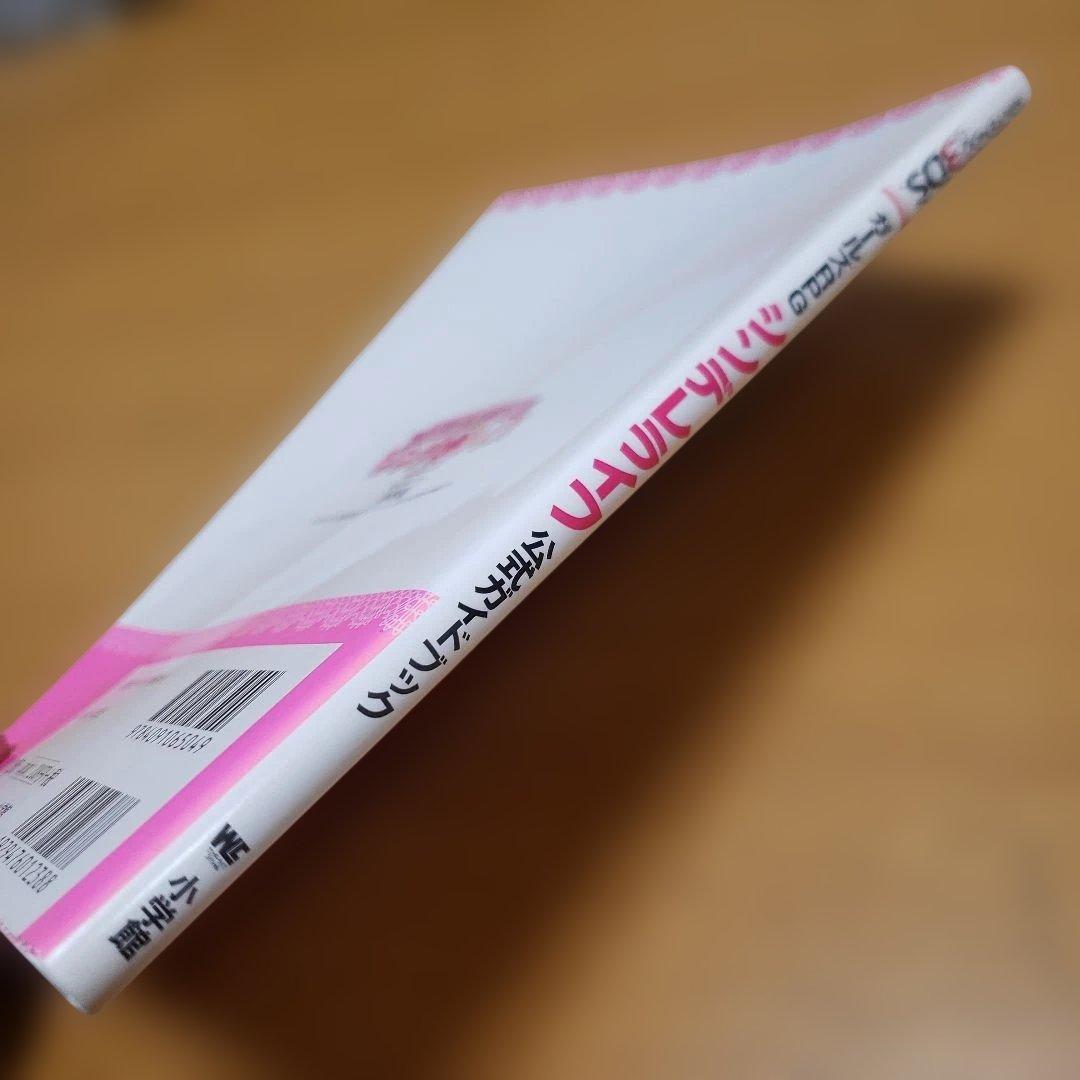 ガールズRPG シンデレライフ 公式ガイドブック