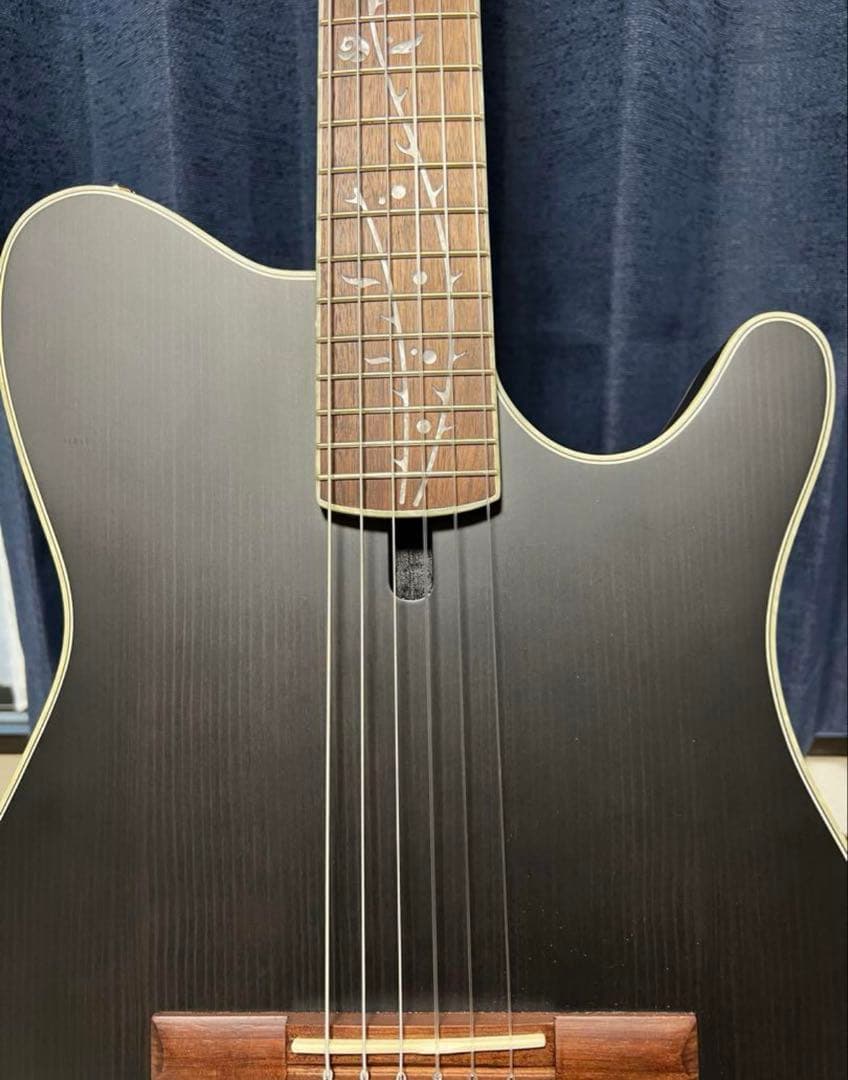 Ibanez TOD10N Tim Henson シグネチャー エレガットギター
