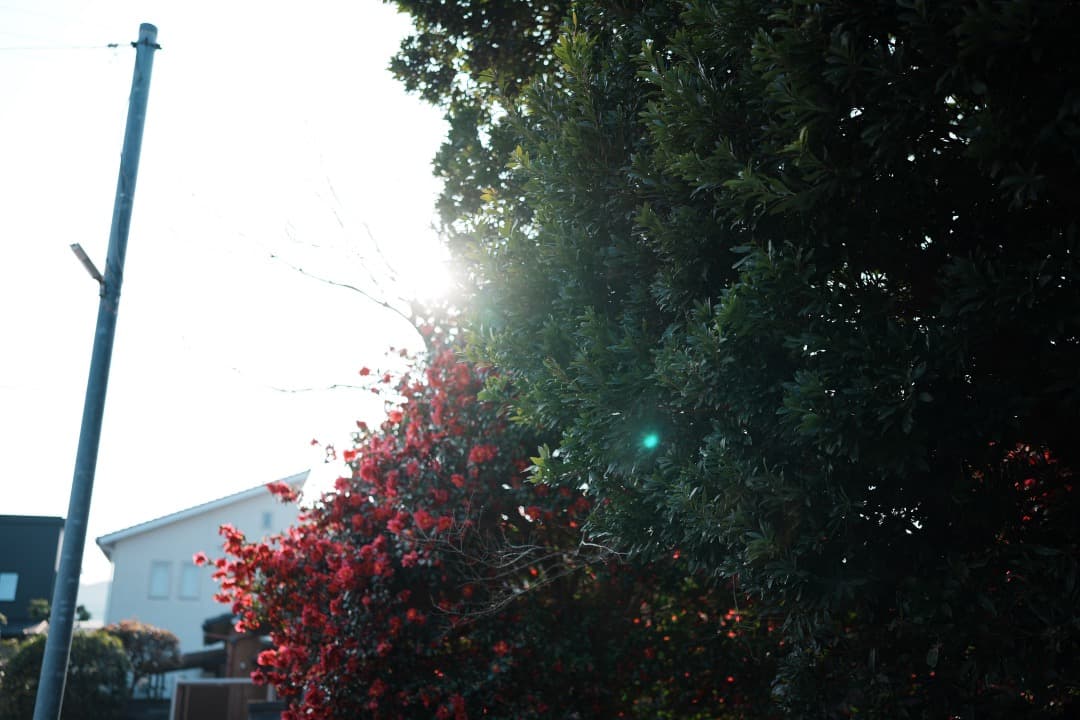 Sony GM 35mm F1.4 SEL35F14GM 保証残 完動品 美品