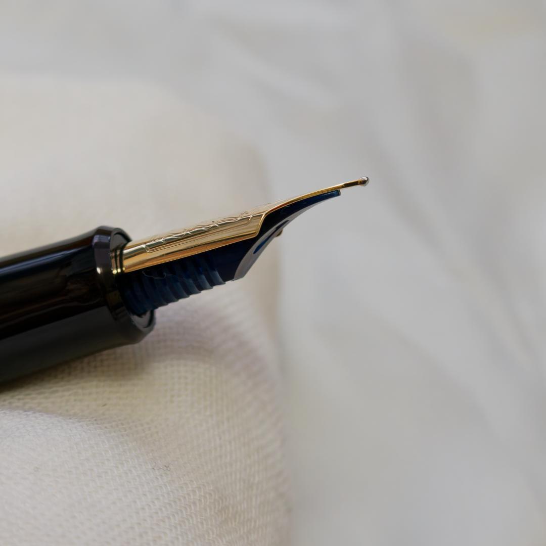 ハ*ル様 【美品】PILOT 万年筆 カスタム743 M中字