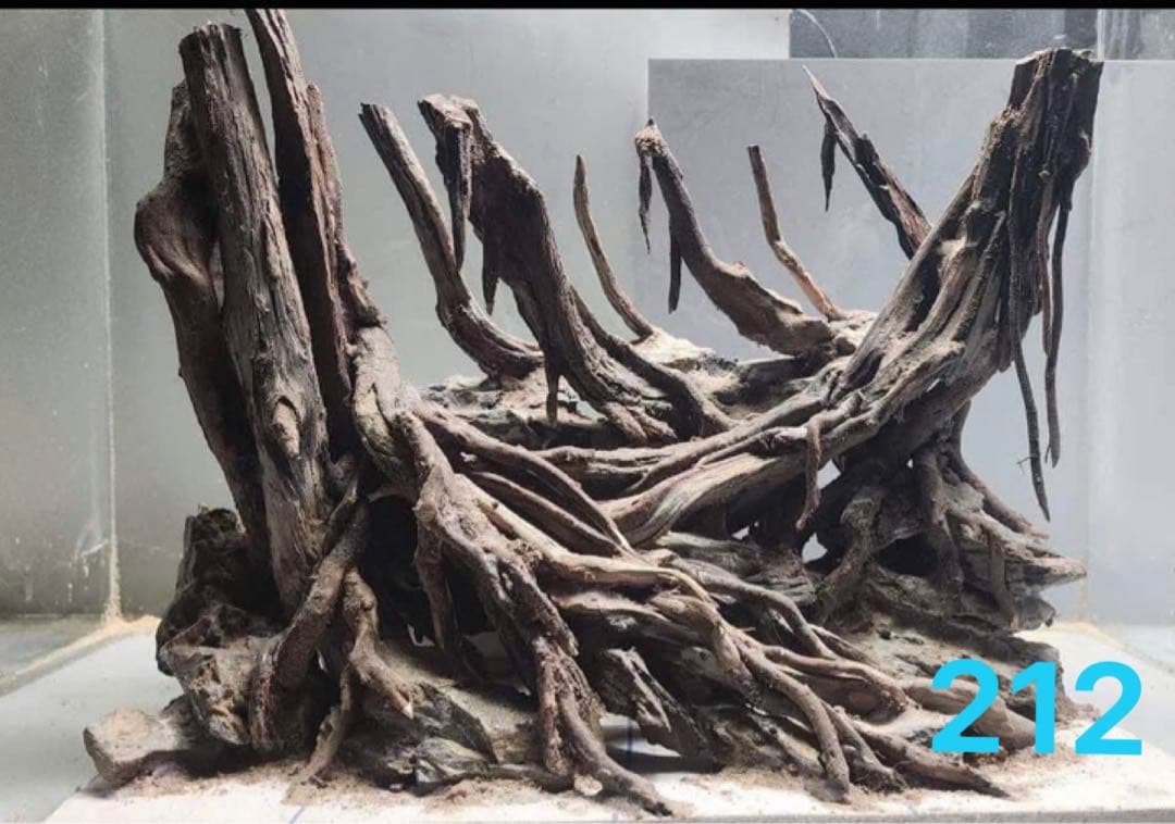 流木 ブランチウッド 流木アクアリウム　パルダリウム　マシンガンウッド 盆栽流木