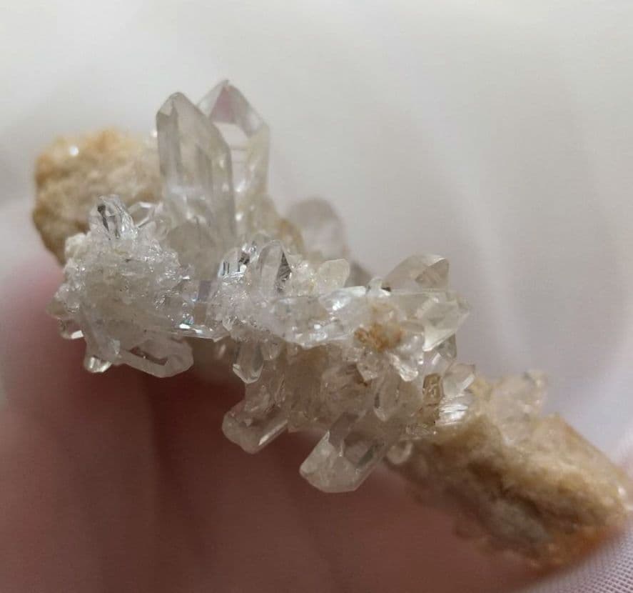 アバンダンスの輝き❇️マニカラン産ゴールデンヒーラー