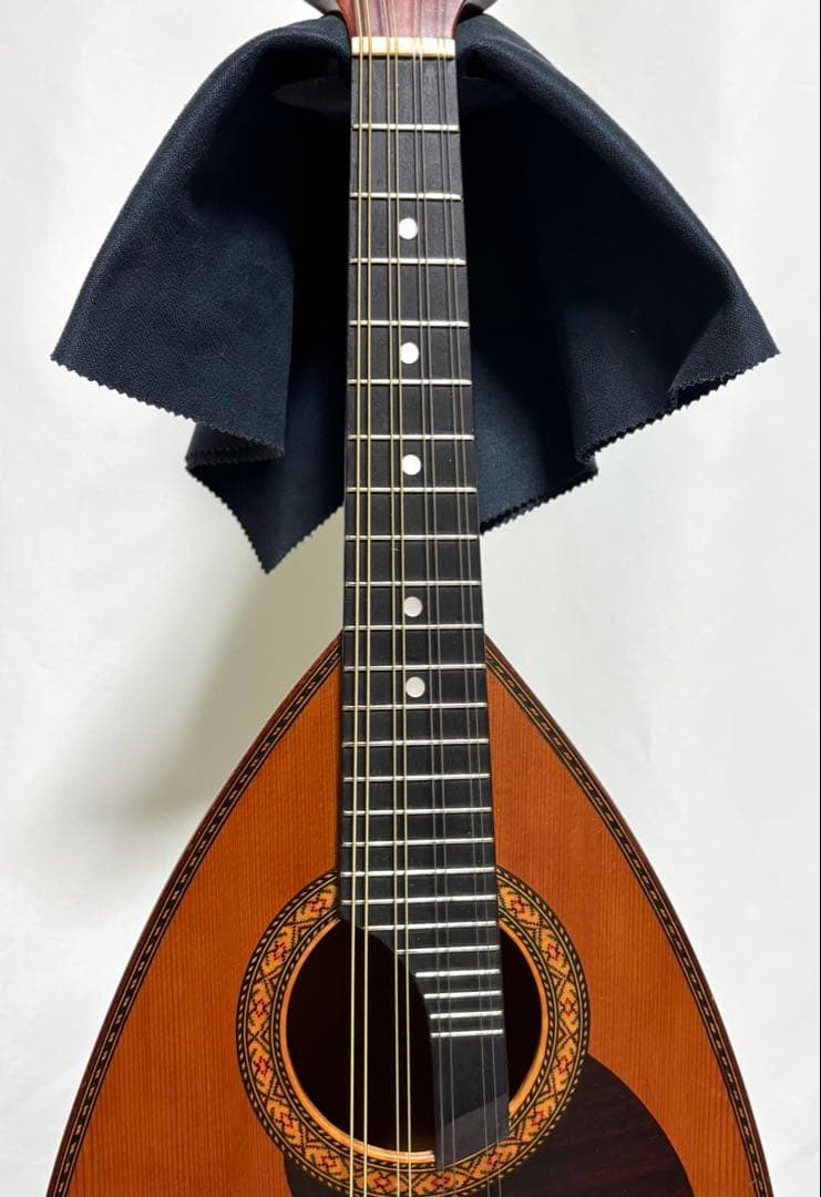 【新品弦張替済】SUZUKI マンドリン M-210 チューナー/ケース