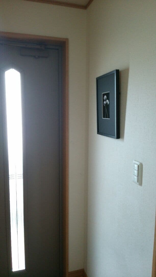 花「忘れないで・・・約束」シロツメクサ