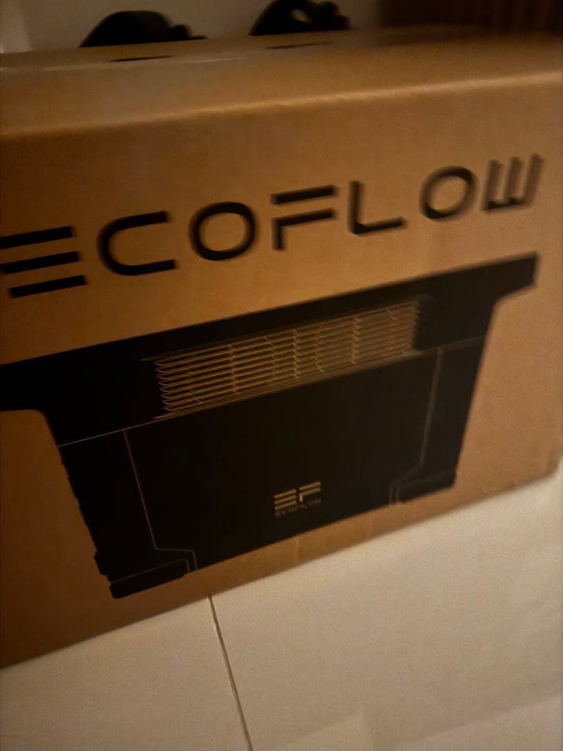 【新品未開封】 最新版DELTA 2 Max S エス2400W 254100円