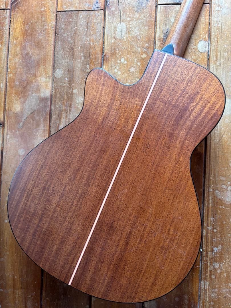 MORRIS S-031SP NAT 限定30本モデル