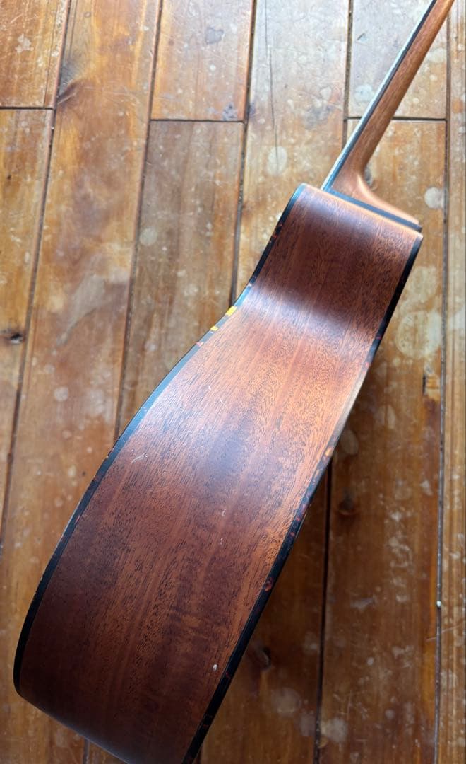 MORRIS S-031SP NAT 限定30本モデル