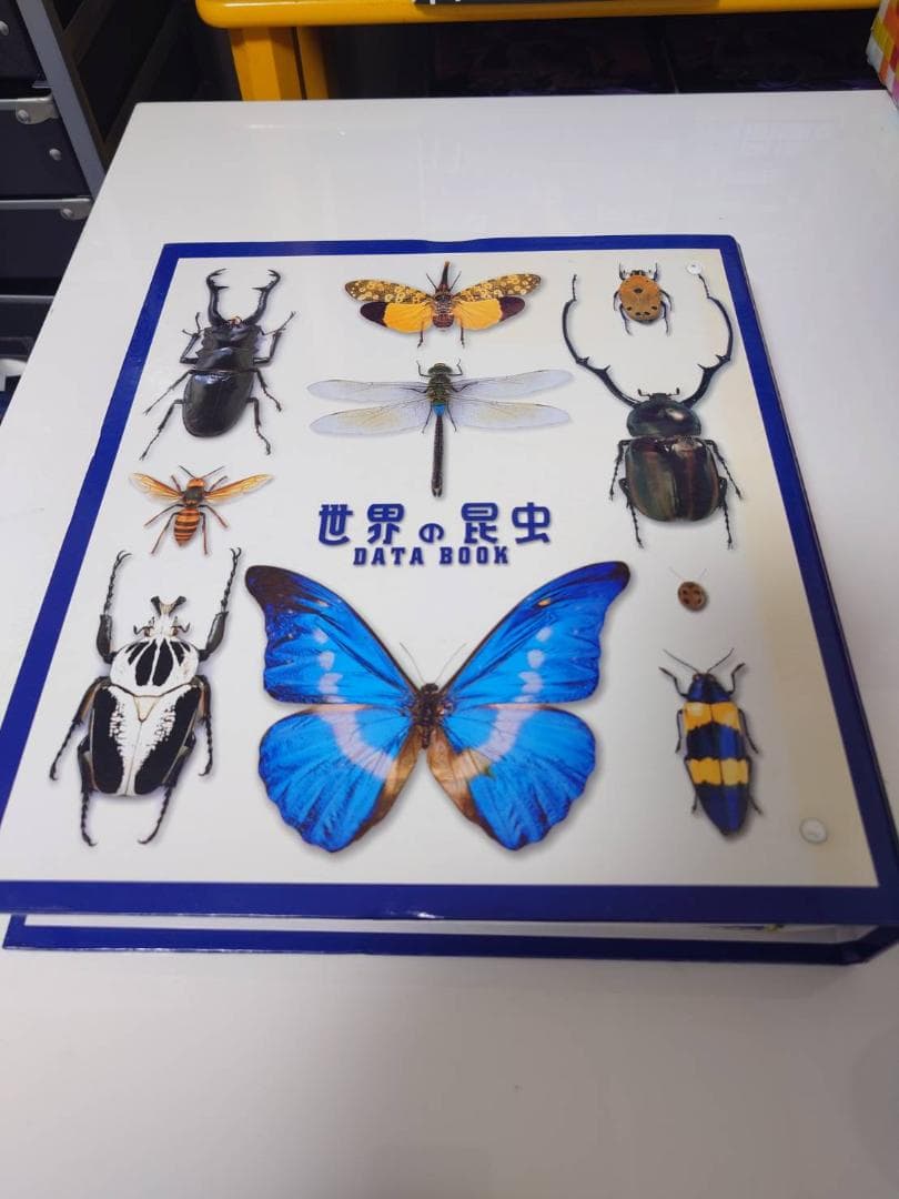 【1～15巻まで】世界の昆虫 DATA BOOK＆標本セット