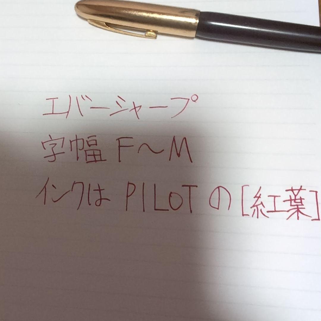 エバーシャープ 万年筆