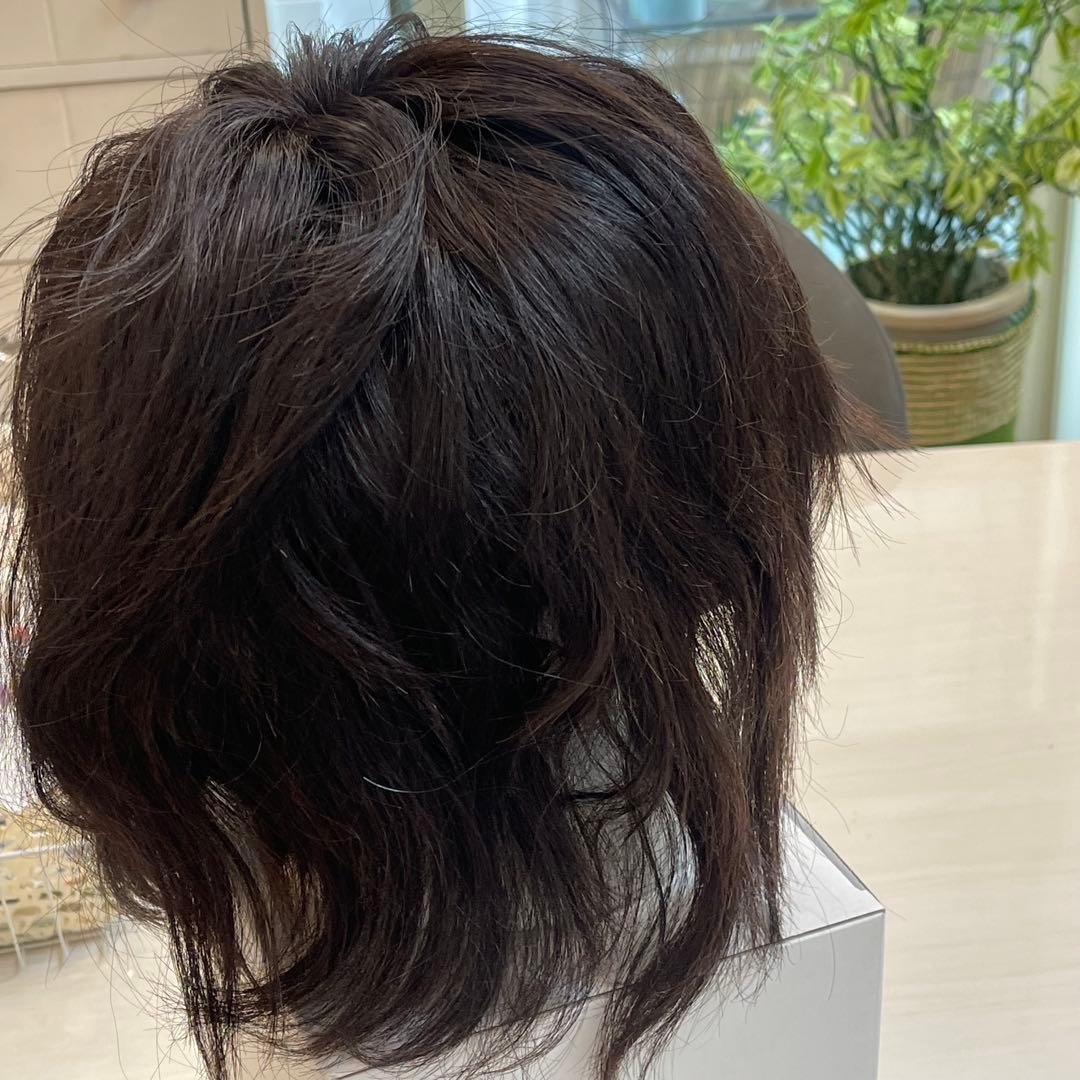 ギンカウインカGinka Winka新品/定価10万/100％人毛