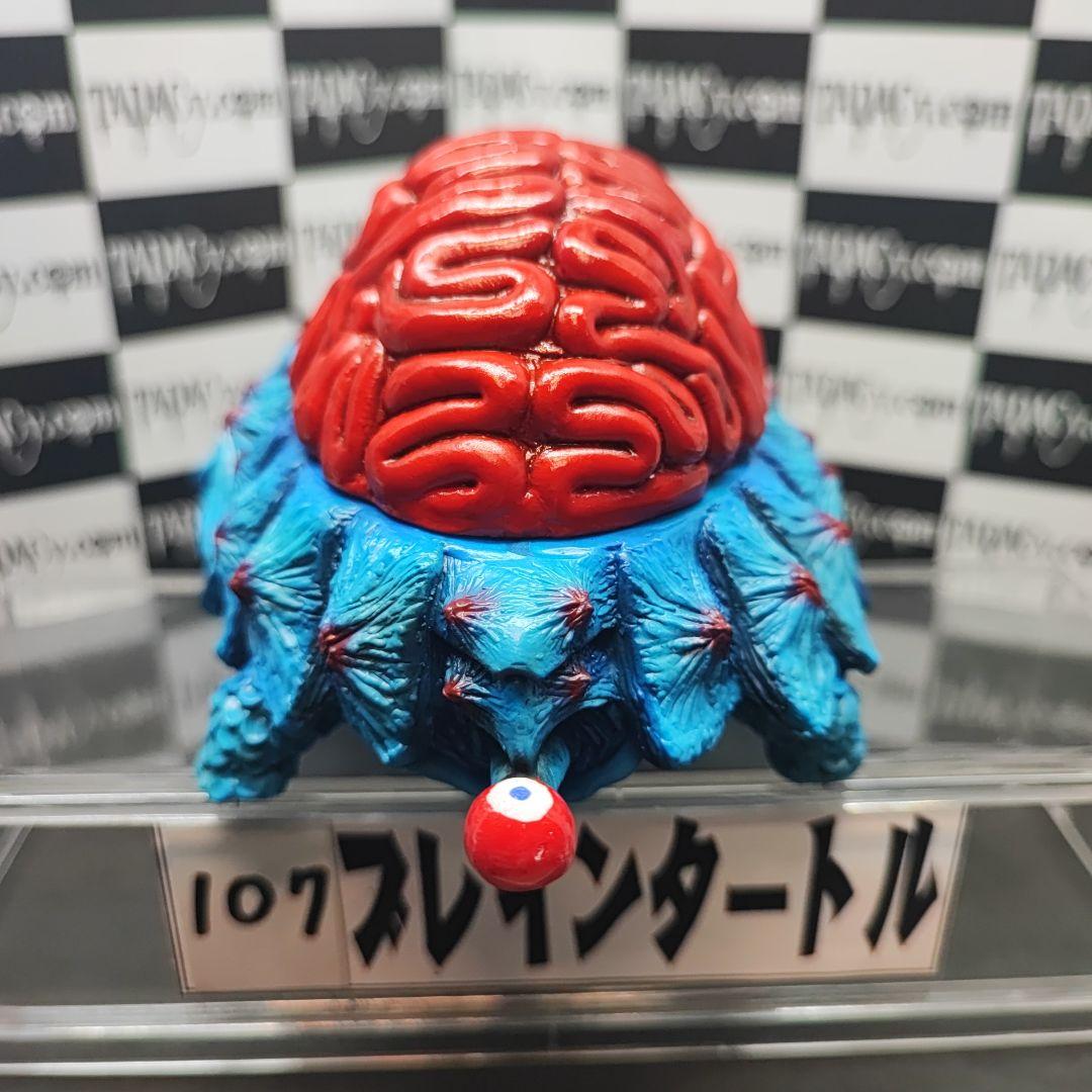 107ブレインタートル