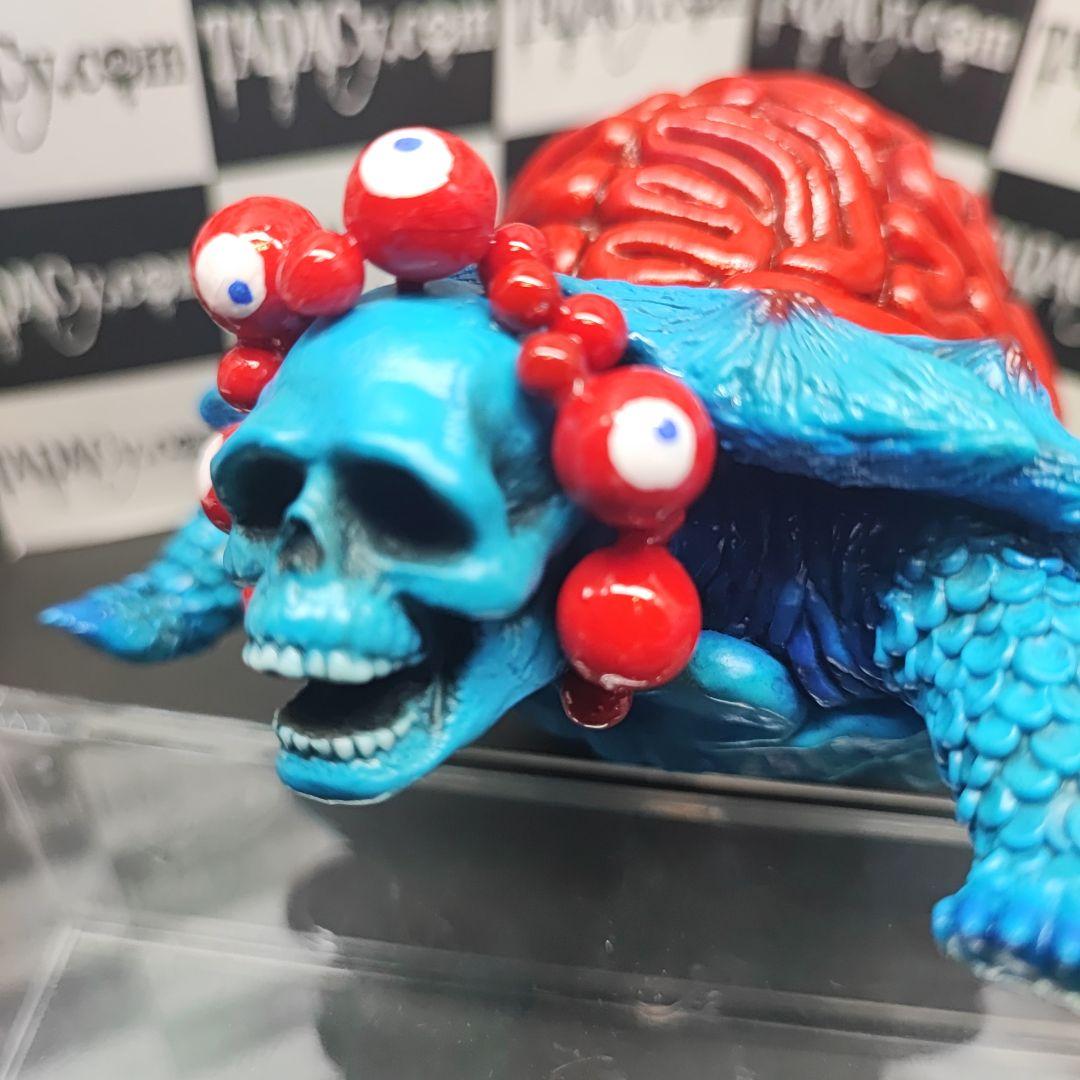 107ブレインタートル