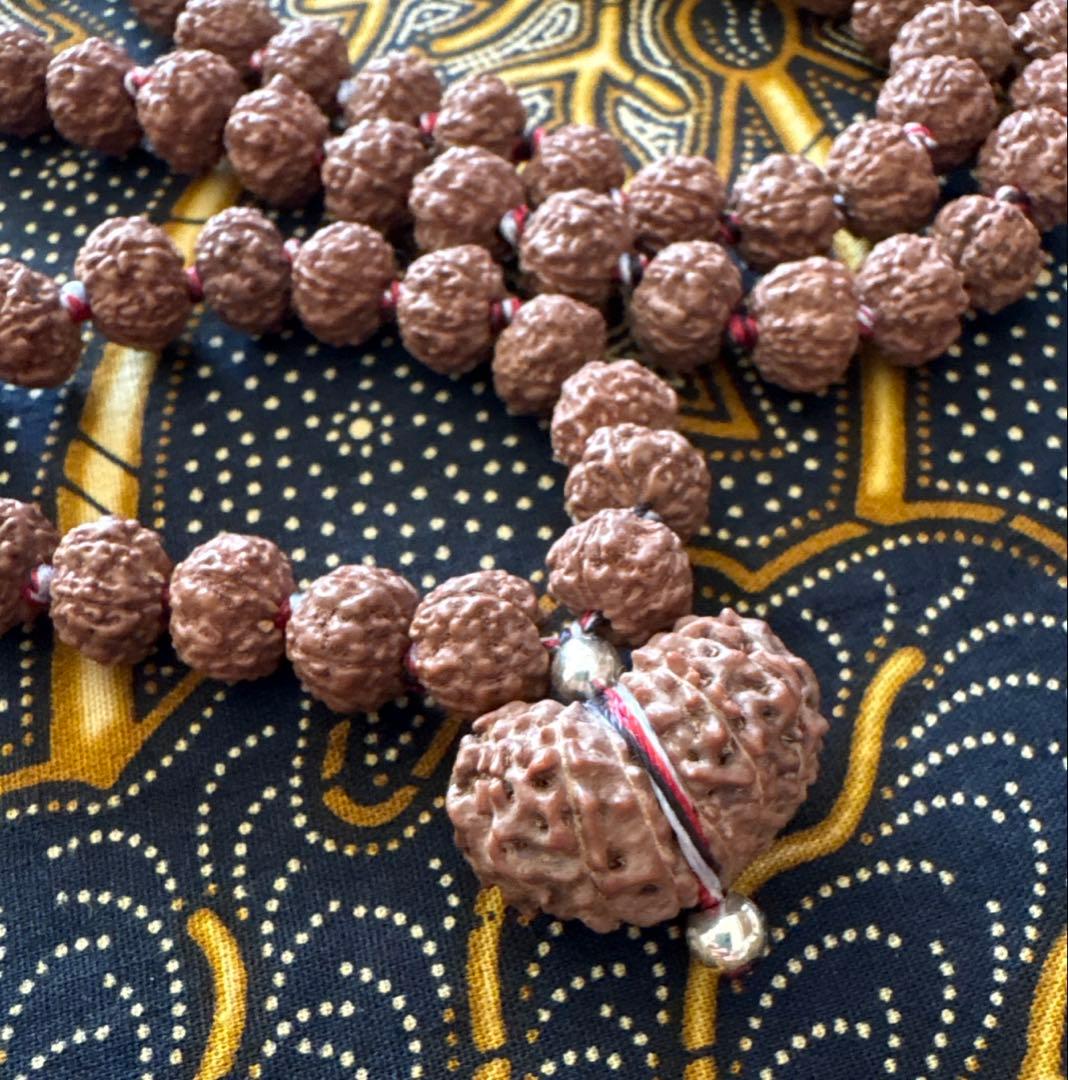 ルドラクシャマーラー　トップ　ガウリシャンカール　14ムキ　②