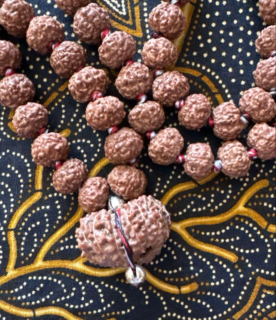 ルドラクシャマーラー　トップ　ガウリシャンカール　14ムキ　②