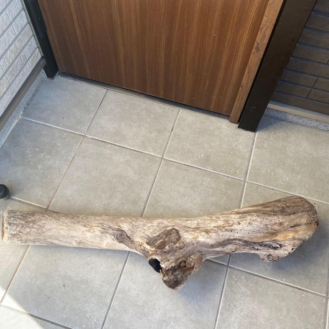 【希少大型流木】　☆おまとめ買い値引き実施中です☆