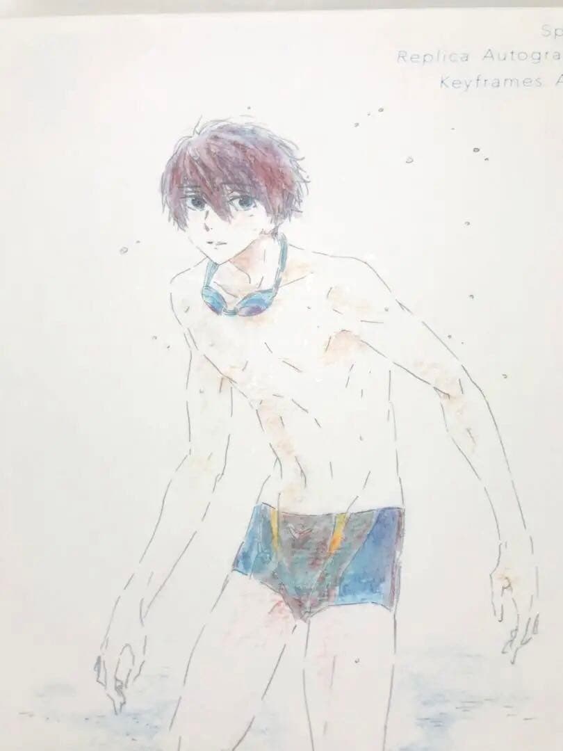 ◎美品◎七瀬遙 橘真琴 桐嶋郁弥 椎名旭【複製原画色紙アルバム】ハイ☆スピード！