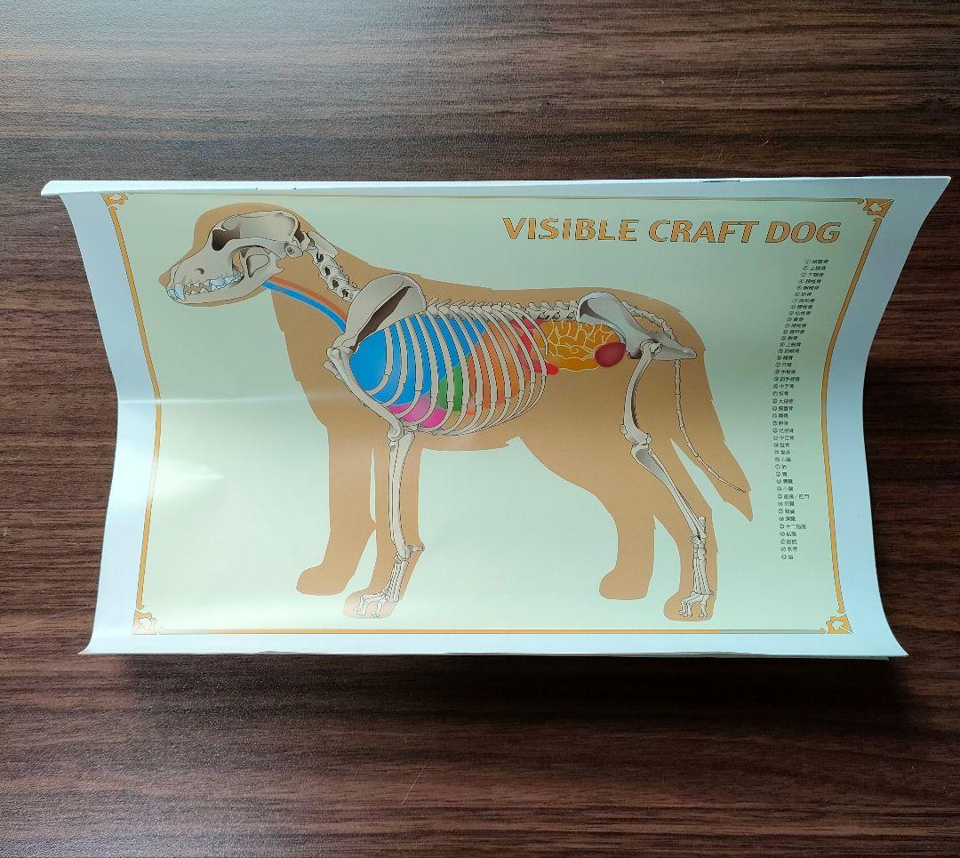 ヒューマンアカデミー たのまな トリマー ドッグトレーナー 資格教材 DVD