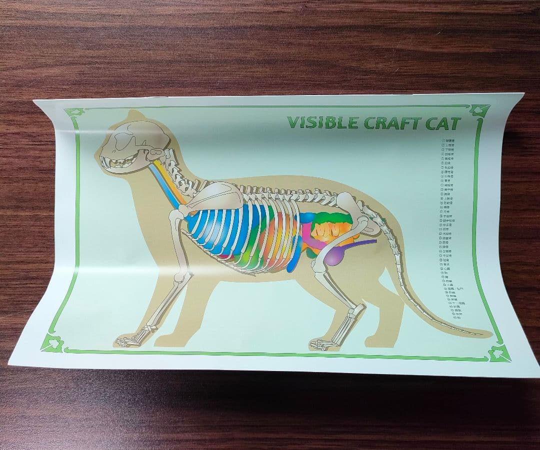 ヒューマンアカデミー たのまな トリマー ドッグトレーナー 資格教材 DVD