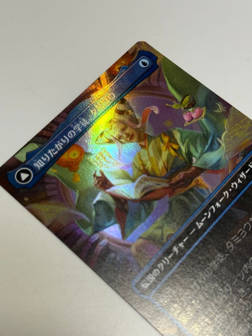 知りたがりの学徒、タミヨウ　日本語　テクスチャー　FOIL