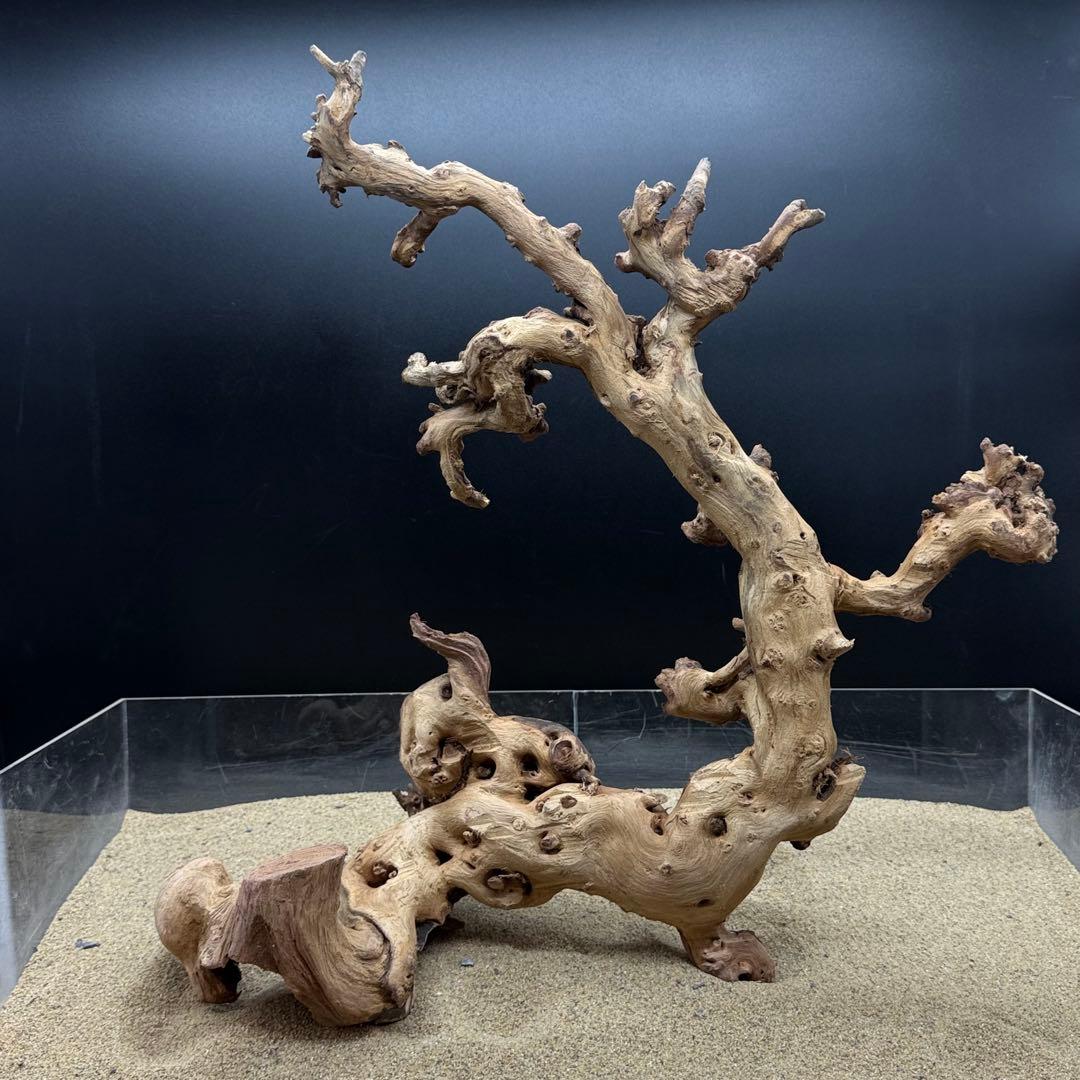 MSW-7083 天然流木 一点物　枝流木　アクアリウム