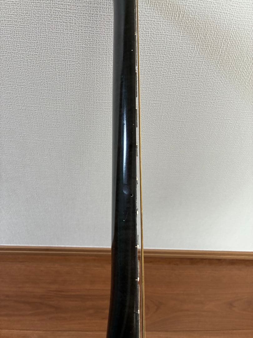 ARIA Sinsonido AS-490C サイレントギター