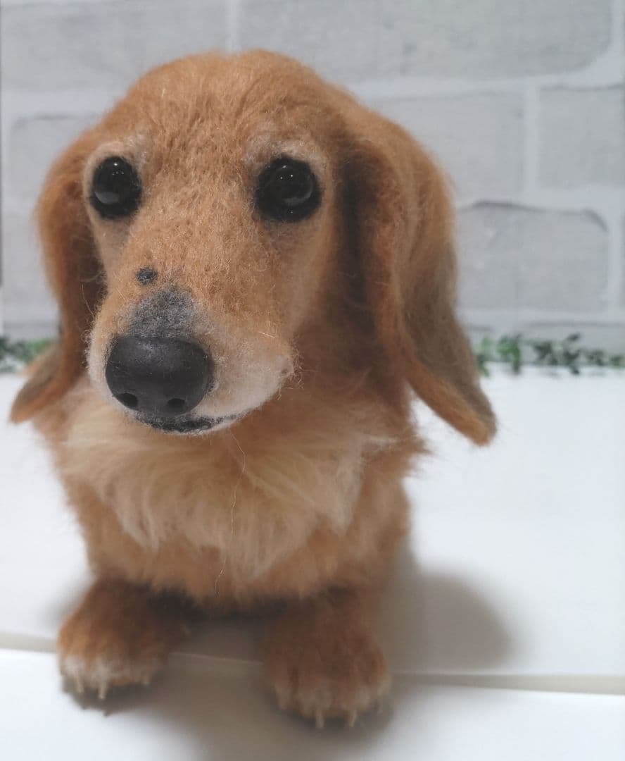 Yoko♡うちの子オーダー♡羊毛フェルト♪ハンドメイド☆