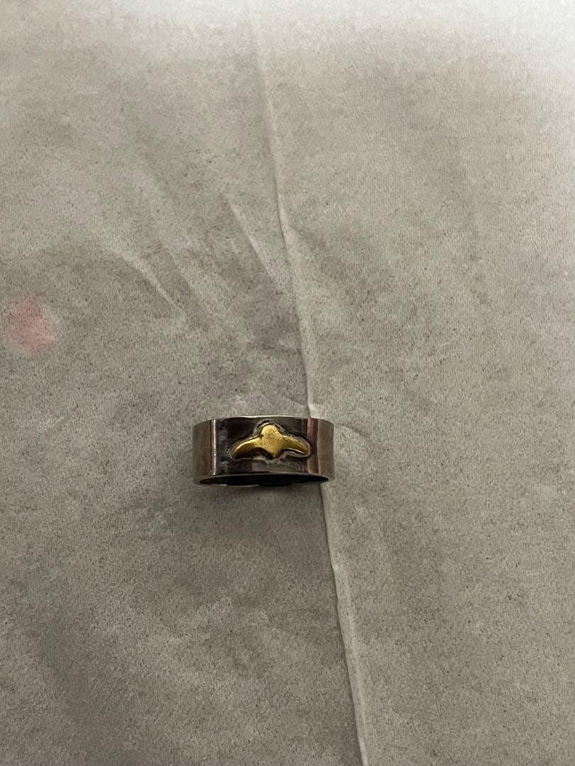 わ*ん様 シルバー925 銀　アクセサリー　硬貨