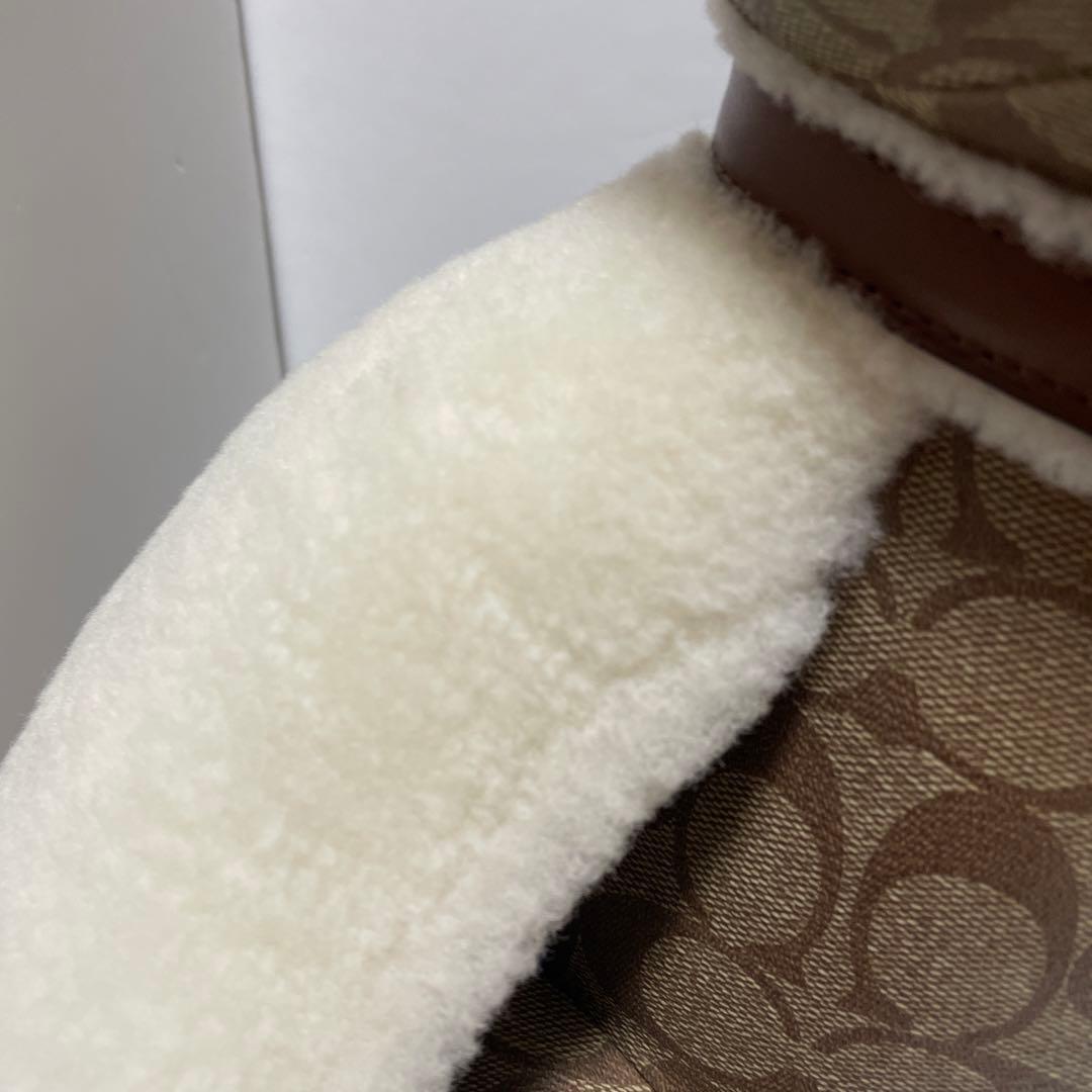 コーチクマのぬいぐるみ