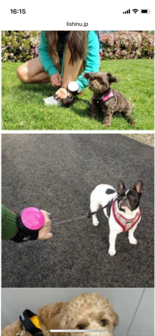 リシニュー　ハンズフリーリード　3m 希少新品