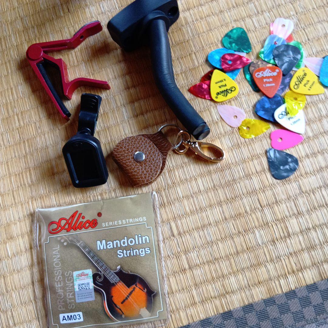 フラットマンドリン