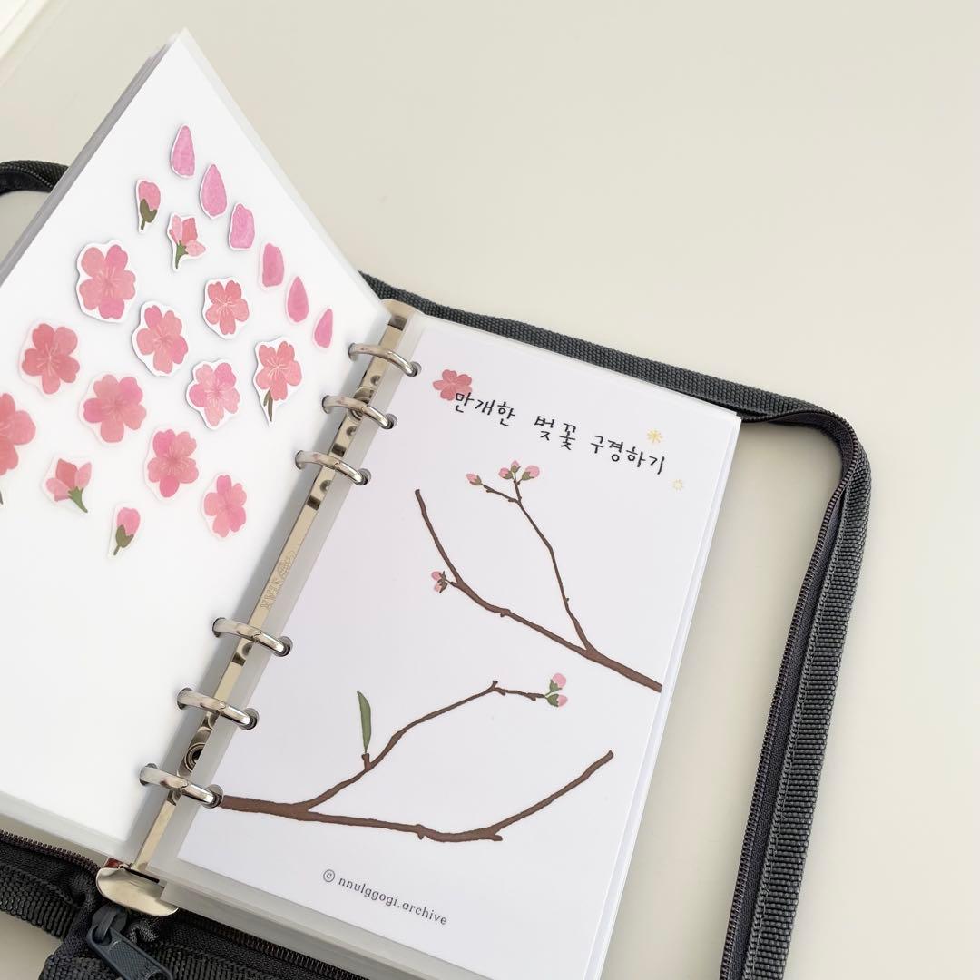 新春セール　韓国　貯金　アクリルバインダー　カバー　リフィル　1年分　ジップ