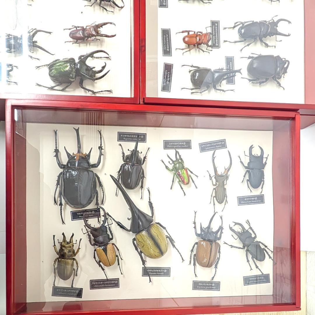 デアゴスティーニ 世界の昆虫 フィギュア30体セット 現状品 コレクションBOX