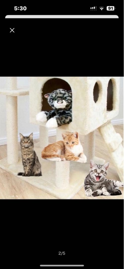 キャットタワー 猫ワイド170cm ファニチャー 置き型 希少 パッションピンク