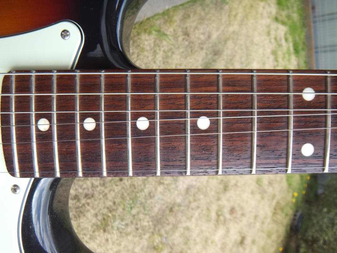 Fujigen Coolz ZST-10R　アルダー　アルニコ