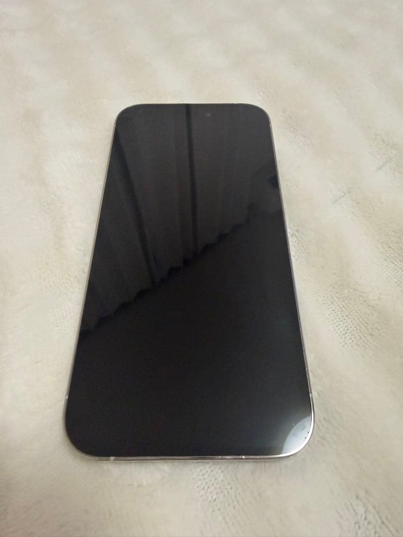 【美品】Apple iPhone14 Proシルバー本体256GB早め即決推奨