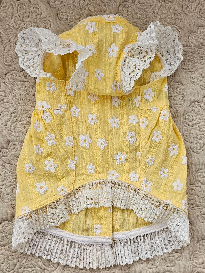 アトリエgg シークワーサーの花(イエロー)