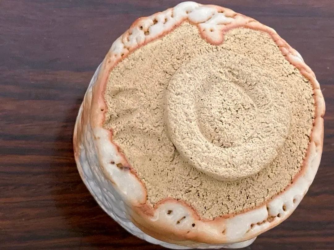 玉置保夫　志野　盃