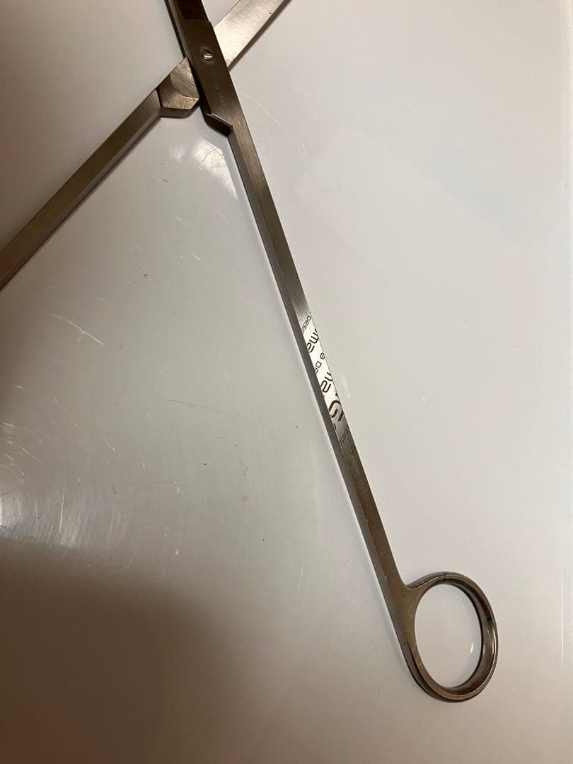 ADA 2015限定柄プロシザース S ストレートタイプ