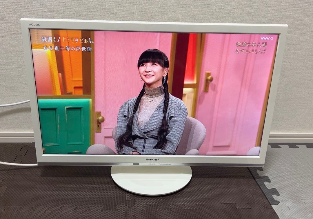 2018年製 SHARP テレビ 24インチ LC-24P5