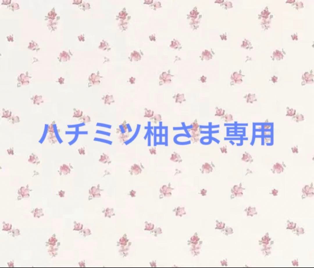ハチミツ柚さま専用 1〜2月付録、特典