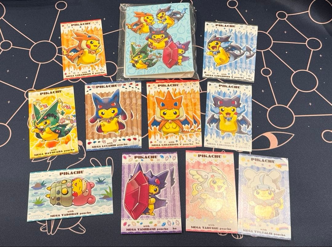 ポンチョを着たピカチュウ 名刺カード ファイル セット