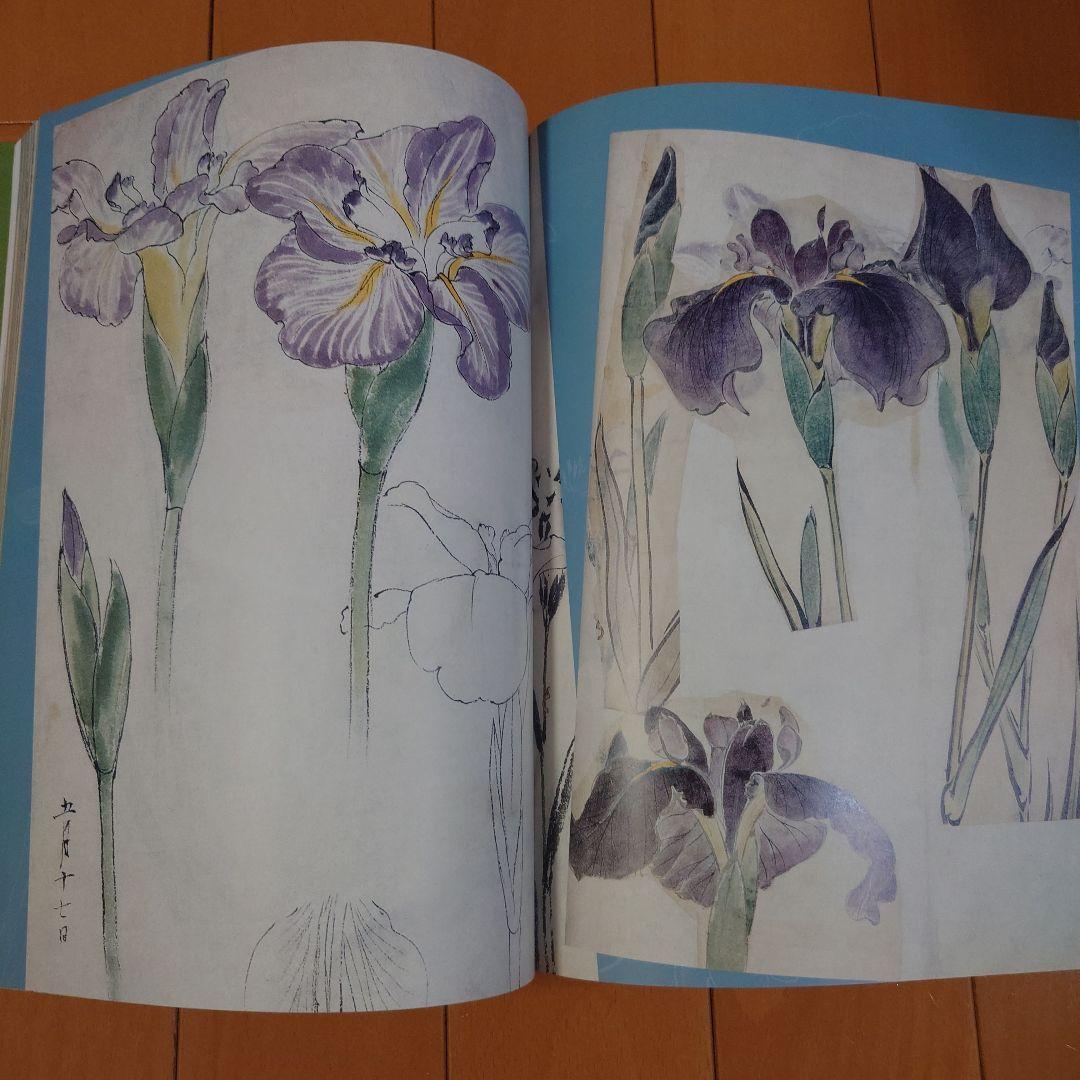 柴田是真 スケッチ集