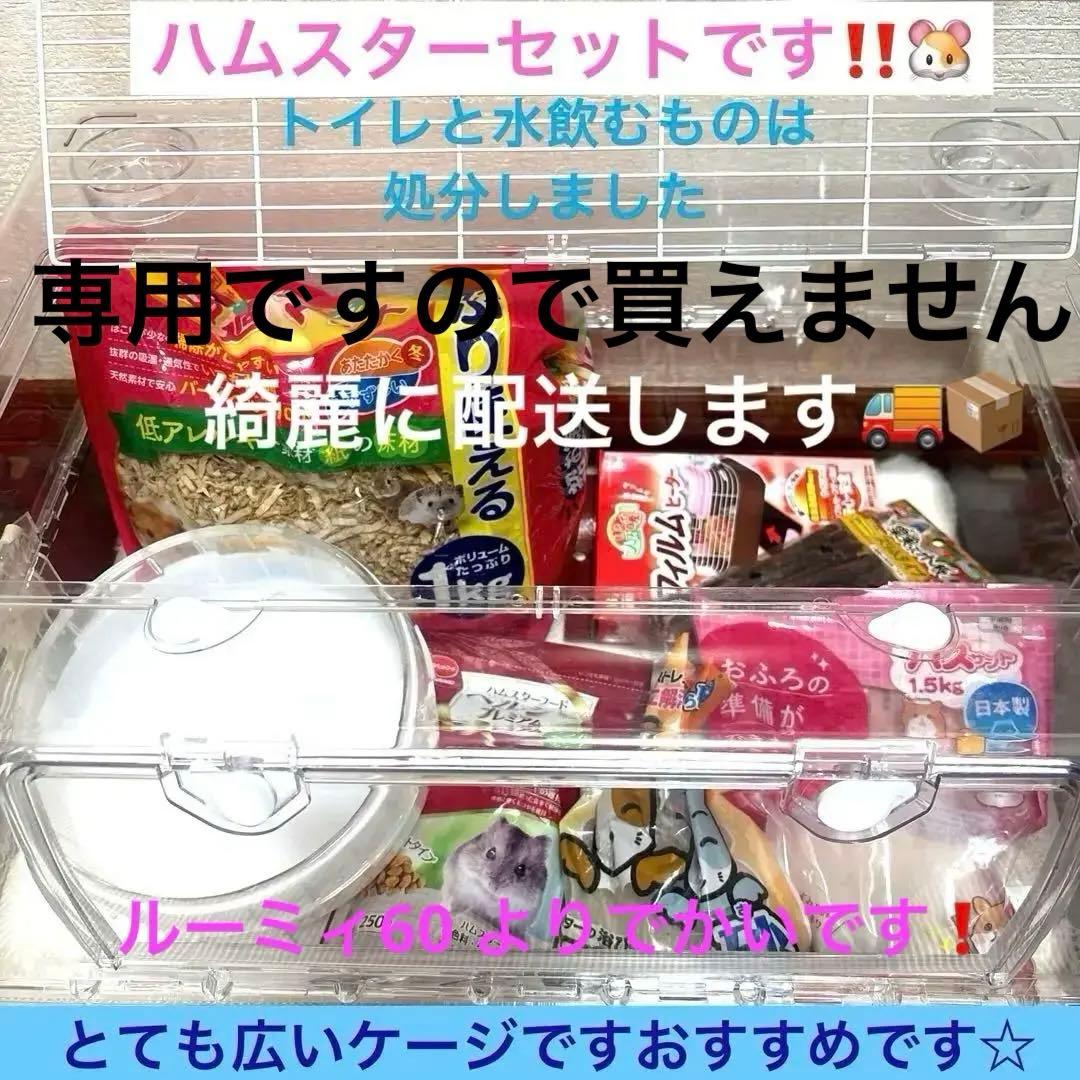 ルーミィ60 ベーシック　飼育セット 小動物　ケージおすすめ