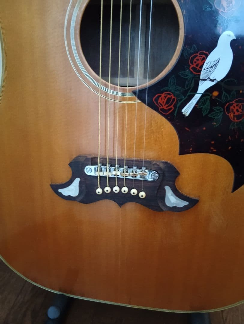 Doveタイプ アコースティックギター 70年代ジャパビン クリーニング済み